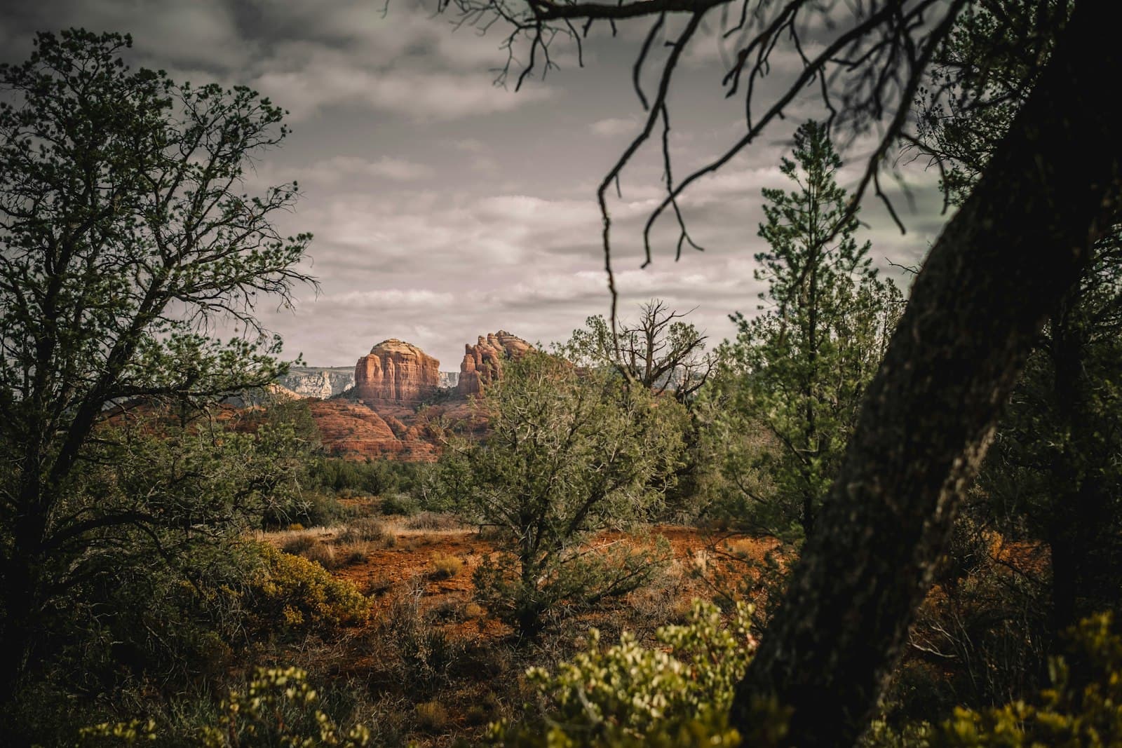 What a Local Actually Does on a Day Off in Sedona